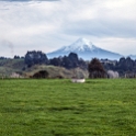 New Plymouth